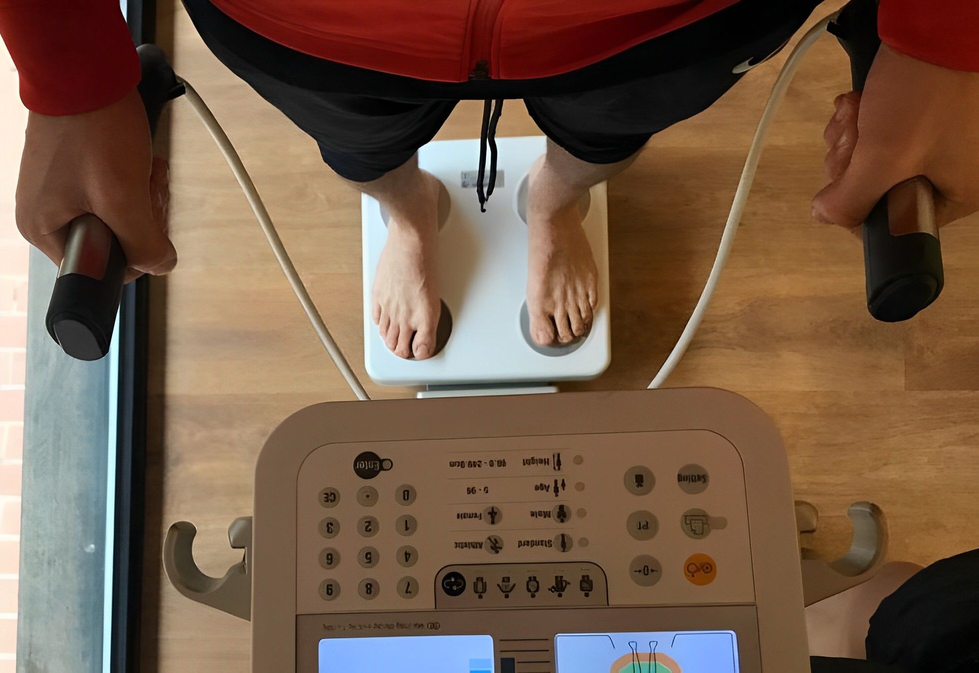 Nutrición Clínica y Deportiva