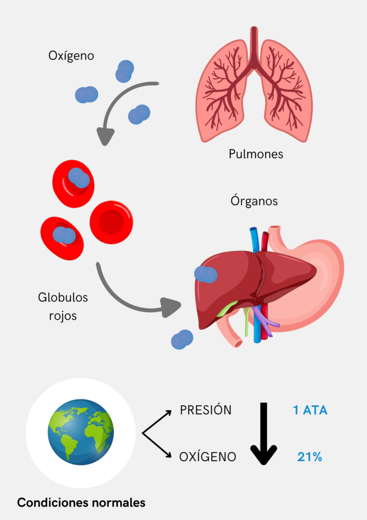 Infografia sin efectos cámara hiperbárica
